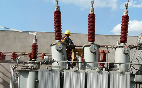 220kV Substation Spray RTV PRTV HVIC Coating